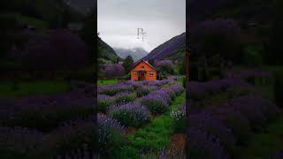 Cozy Mountain Cottage A Relaxing Meditation Retreat for Tranquil Time relaxing nature [upl. by Gnel]