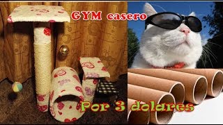 como hacer gimnasio rascador para gatos CASERO  con material reciclado [upl. by Benil]