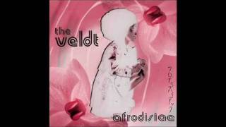 The VELDT  Until Youre Forever 1994 [upl. by Nidak]