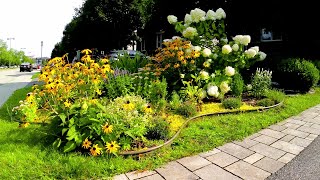 Small Front yard Garden In Transition gardening gardentour garden perennial new relaxing [upl. by Hanus]