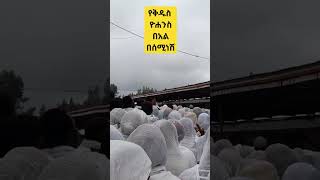 ቅዱስ ዮሐንስ shorts ethiopiaorthodox mezmur trendingshorts viralshorts [upl. by Ahsait]