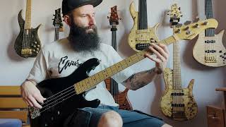 RSRiverman  bass cover on NYC Sadowsky [upl. by Edlun607]