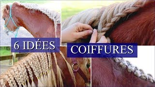 6 IDÉES COIFFURES CHEVAUX  Pour crinières longues [upl. by Neersan]