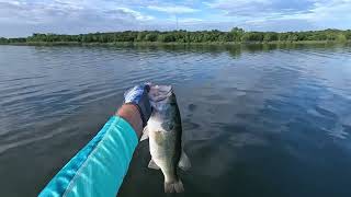 Decker Lake Deep Water Bass [upl. by Accebor882]