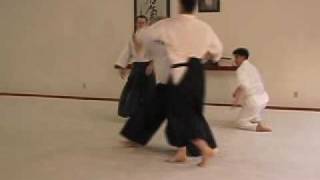 Aikido Randori  Working the Centers [upl. by Edyaw]