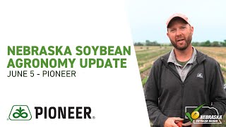 Nebraska Soybean Agronomy Update  June 5  Pioneer [upl. by Klug]