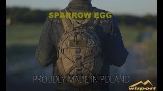 WISPORT Sparrow Egg [upl. by Euqinor]