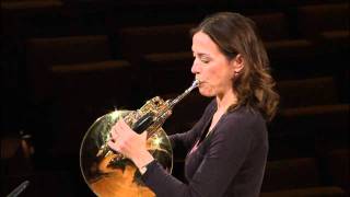 Berliner Philharmoniker Master Class  Horn [upl. by Llerdnam763]