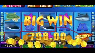 Tips Games  Great Blue Pussy888 Today [upl. by Ymrots]