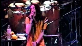 The Black Crowes  22 March 1995  Beacon Theatre  New York NY  Incomplete [upl. by Dnalevelc]