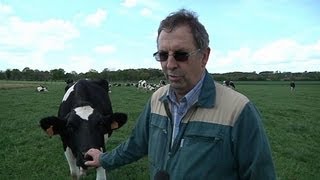 Les agriculteurs rassurés par les chutes de pluie abondante [upl. by Elimay]