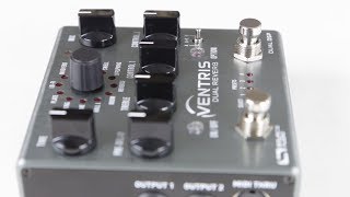 Source Audio Ventris Dual Reverb [upl. by Ainivad]