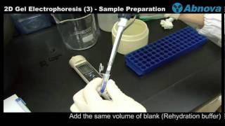 2D Gel Electrophoresis 3 Sample Preparation for 1st Dimension [upl. by Eerhs]