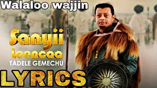 Tadele Gemechu  Sanyii Leencaa Lyrics [upl. by Rorke]