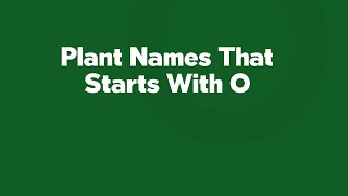 Plant Names That Starts With O [upl. by Eetnom]