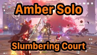 Amber SOLO Slumbering Court Domain no damage taken [upl. by Nazler]