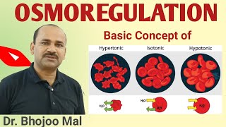 Osmoregulation  What is Osmoregulation  Hypertonic  Hypotonic  Isotonic  by Dr Bhojoo Mal [upl. by Wilkison]