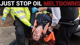 Hysterical Just Stop Oil meltdowns captured [upl. by Nnauol]