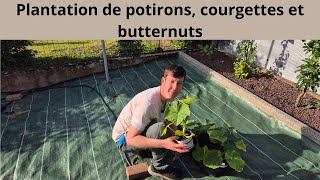 Plantation de potirons courgettes et butternuts [upl. by Amahs]