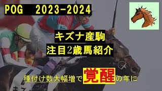 【POG20232024】キズナ産駒 注目2歳馬紹介 キズナ産駒覚醒の年 [upl. by Guttery]