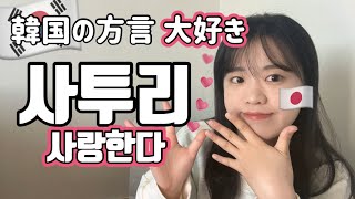 한국 사투리를 사랑하는 일본인 ✨🤍 이유는  사투리 연습이나 해볼까 [upl. by Laen]