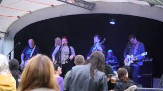 Stone Heroes  Carshalton Environmental Fair 2015 [upl. by Ohploda]