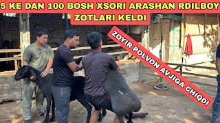 5 KE DAN 100 BOSH KELDI 40 DONASI TALAMON BO‘LDI [upl. by Naugan]