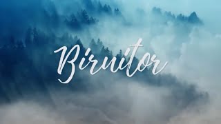 Revive – BIRUITOR [upl. by Eceirahs]