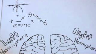 Roger Sperrys Split Brain Experiment [upl. by Edra898]