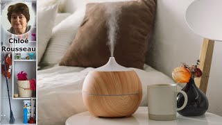 Découvrez les 7 Avantages Inattendus des Humidificateurs pour Votre Maison [upl. by Ainot]