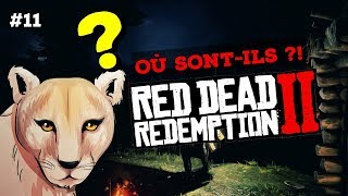 11 COUGAR  OÙ LES CHASSER  RED DEAD REDEMPTION 2 [upl. by Aleibarg]