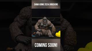 SH Monsterarts GxK Kong 2024 [upl. by Aissatsan]