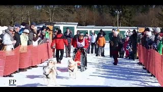 Schlittenhunderennen in Seiffen [upl. by Lladnik431]