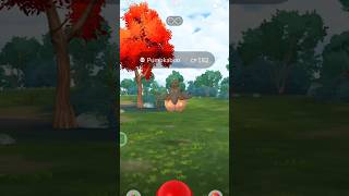 See how I Catch a Pumpkaboo in Pokemon go pokemongo [upl. by Dnomyaw]