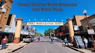 Fort Worth Stock Show amp Rodeo  Stockyards [upl. by Mabel]