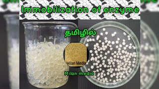 Enzyme Immobilization  simple explanation Enzyme biotechnology  Tamil  Milan media [upl. by Dhumma]