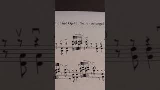 Crazy double trill opening of Griegs Little Bird Op 43 No 4 for Solo Violin [upl. by Vernen]