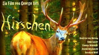 Hirschen  official trailer Austria [upl. by Barrow242]