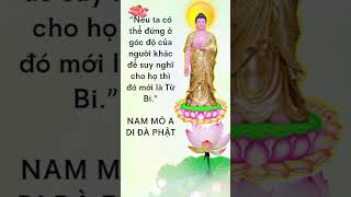 Tu là ji Nếu ai hỏi bạn thì bạn trả lời sao ạ NAM MÔ A DI ĐÀ PHẬT 🙏🙏🪷🌸🙏 [upl. by Ornas]