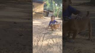 Pappi ke sath khelna funny comedy poppingballon cutebaby shortvideo anime viralvideo [upl. by Weslee]