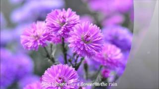 FLOWER IN THE RAIN by Jaci Velasquez with lyrics [upl. by Araminta]