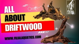 Driftwoods fishkeeping aquascaping [upl. by Javier236]