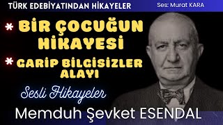 quotBir Çocuğun Hikayesiquot quotGarip Bilgisizler Alayıquot Memduh Şevket Esendal Hikayeleri [upl. by Yraeht]