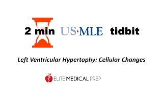 Elite Medical Preps 2min tidbit Hyperplasia vs Hypertrophy [upl. by Collis186]