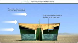 How does the Groasis waterboxx work against desertification With music [upl. by Eduj130]