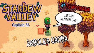 ÁRBOLES CAOBA  STARDEW VALLEY  TEMPORADA 4 35 [upl. by Nerual]