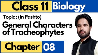 General characters of tracheophytes Vascular Plants [upl. by Laehctim]