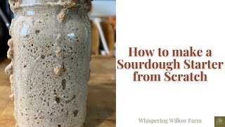 How to make a Sourdough Starter from Scratch FOOL PROOF RECIPE [upl. by Naruq]