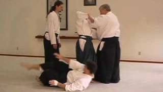 Aikido Randori  Working the Edges  Explanation [upl. by Irolav]