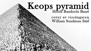 quotKeops pyramidquot  Hoola Bandoola Band cover av vissångaren William Sundman Sääf [upl. by Cirde]